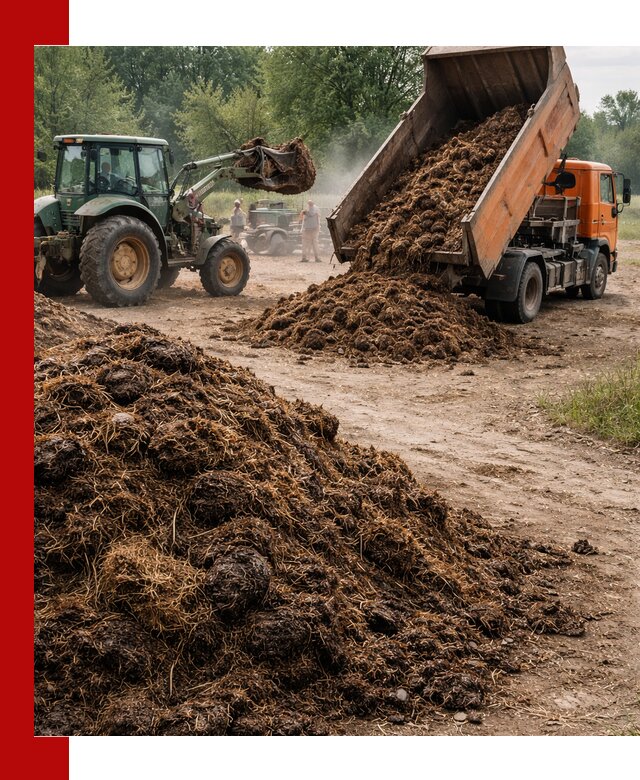 Доставка навоза самосвалами в Ейске для сельхозпотребностей